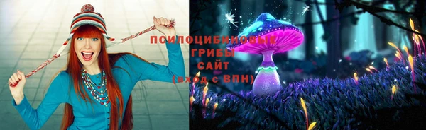 винт Козельск