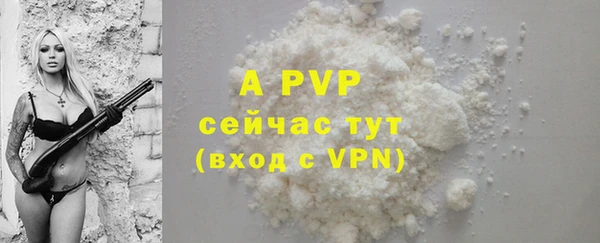 гидра Козловка