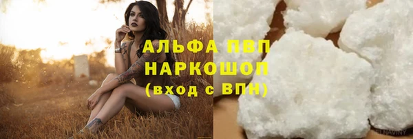 гидра Козловка