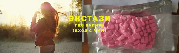 гидра Козловка