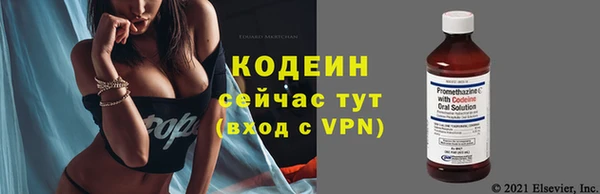 гидра Козловка