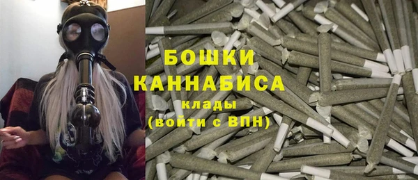 гидра Козловка