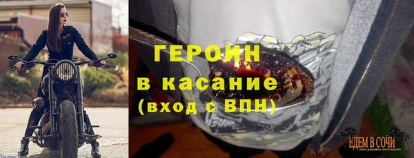 гидра Козловка