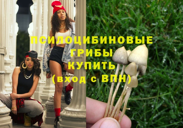 гидра Козловка