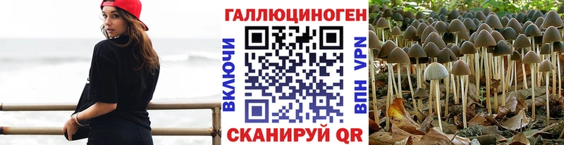 Купить закладки  Ивангород  Галлюциногенные грибы Psilocybine cubensis 